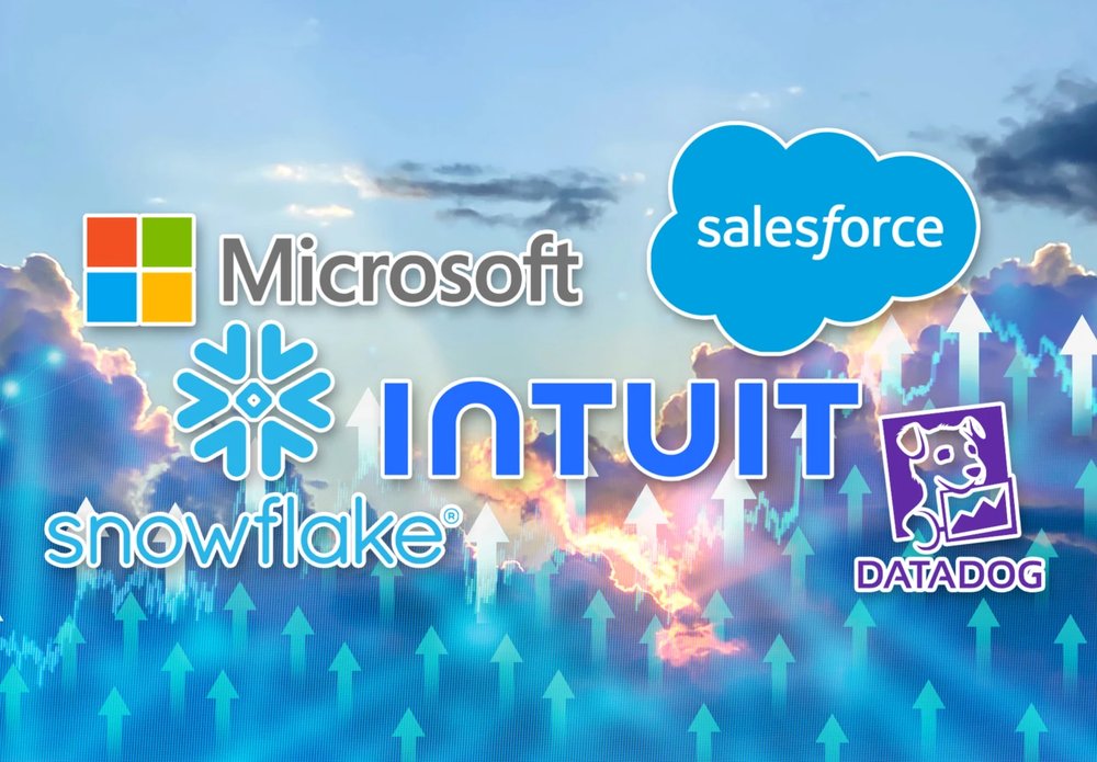 Software Selloff Creates Rare Opening for Growth Investors