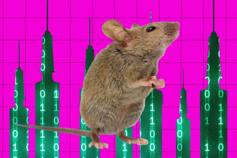 Startup Tests AI Agent on Live Mouse Brain Injection, With Human Safeguards