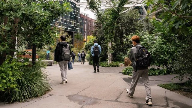 Big Tech Hits the Brakes on AI Spending